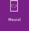 chp-meural-Icon.png