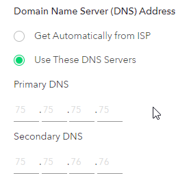 DNS setting.png