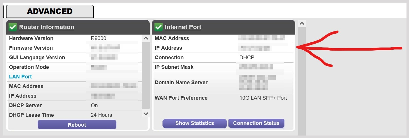 Public camera best sale ip address