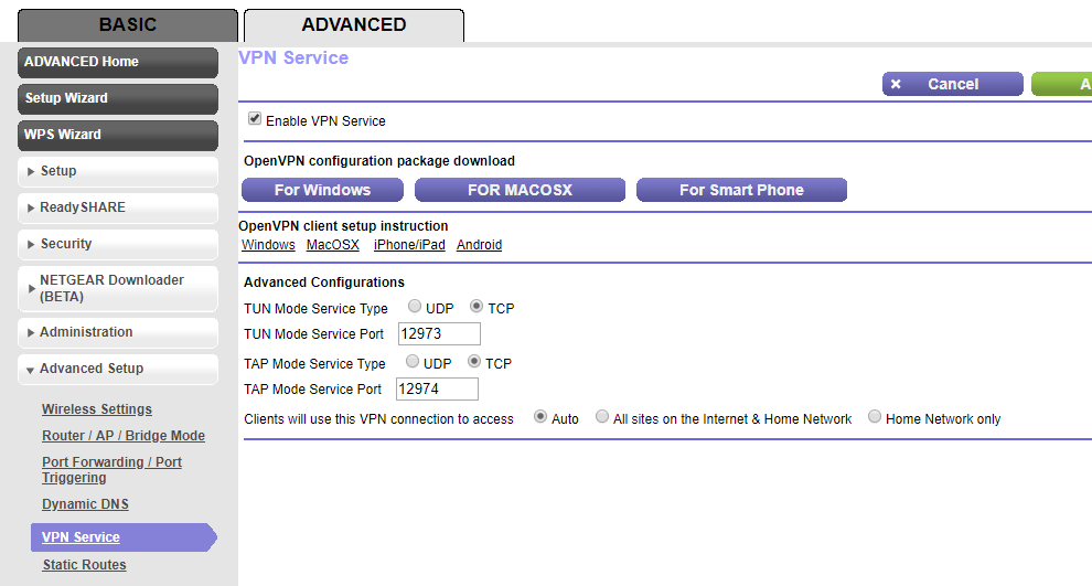 Nighthawk VPN Settings.PNG