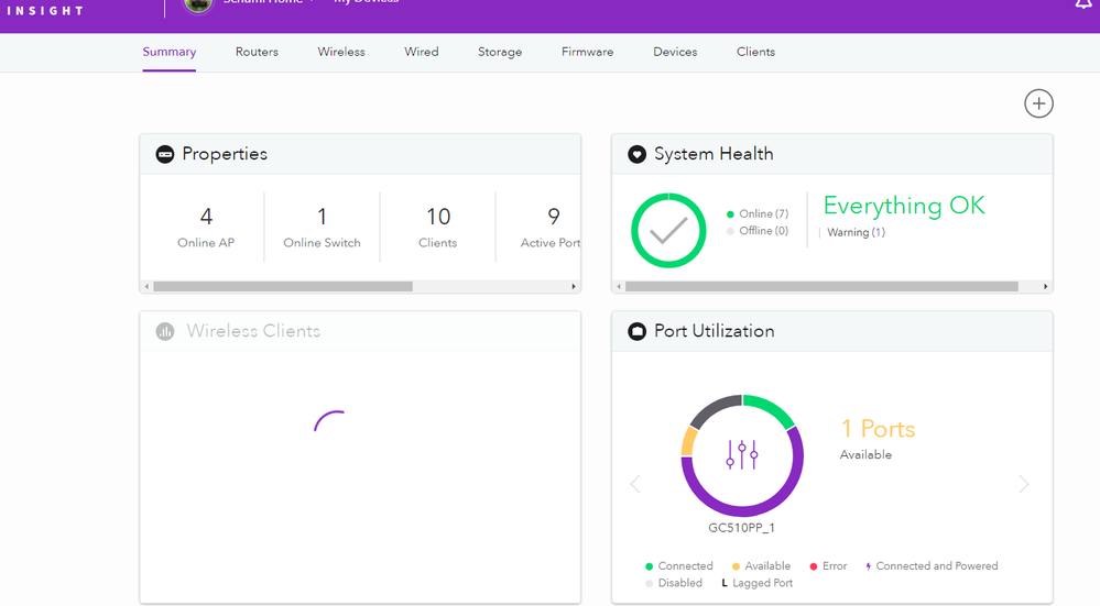 Insight 5.1 - System Health 40 seconds.PNG