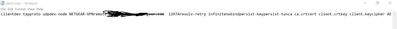 OpenVPNConfigFile.PNG