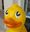 duckware.jpg