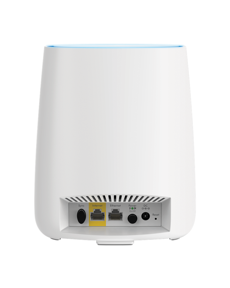 RBR20-Back-Transparent-new (1).png