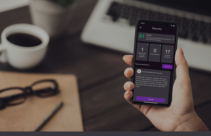 Native Armor NH Now.png