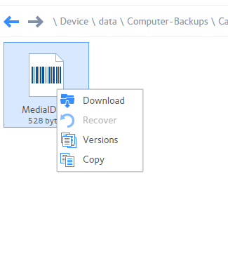 MediaID-2.PNG