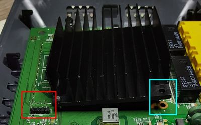 20210313_061148 (Small).jpg