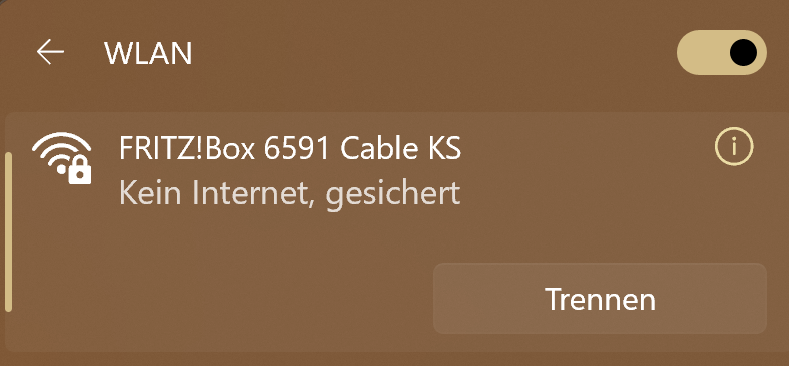 Kein Internet aber gesichert.png
