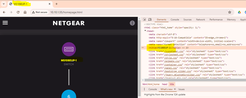 Switch Name in the html title.PNG