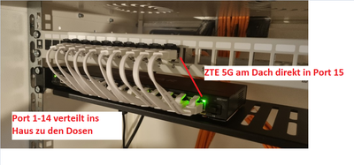 Terus_3-1723811794449.png