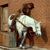 SonofSouthie's avatar